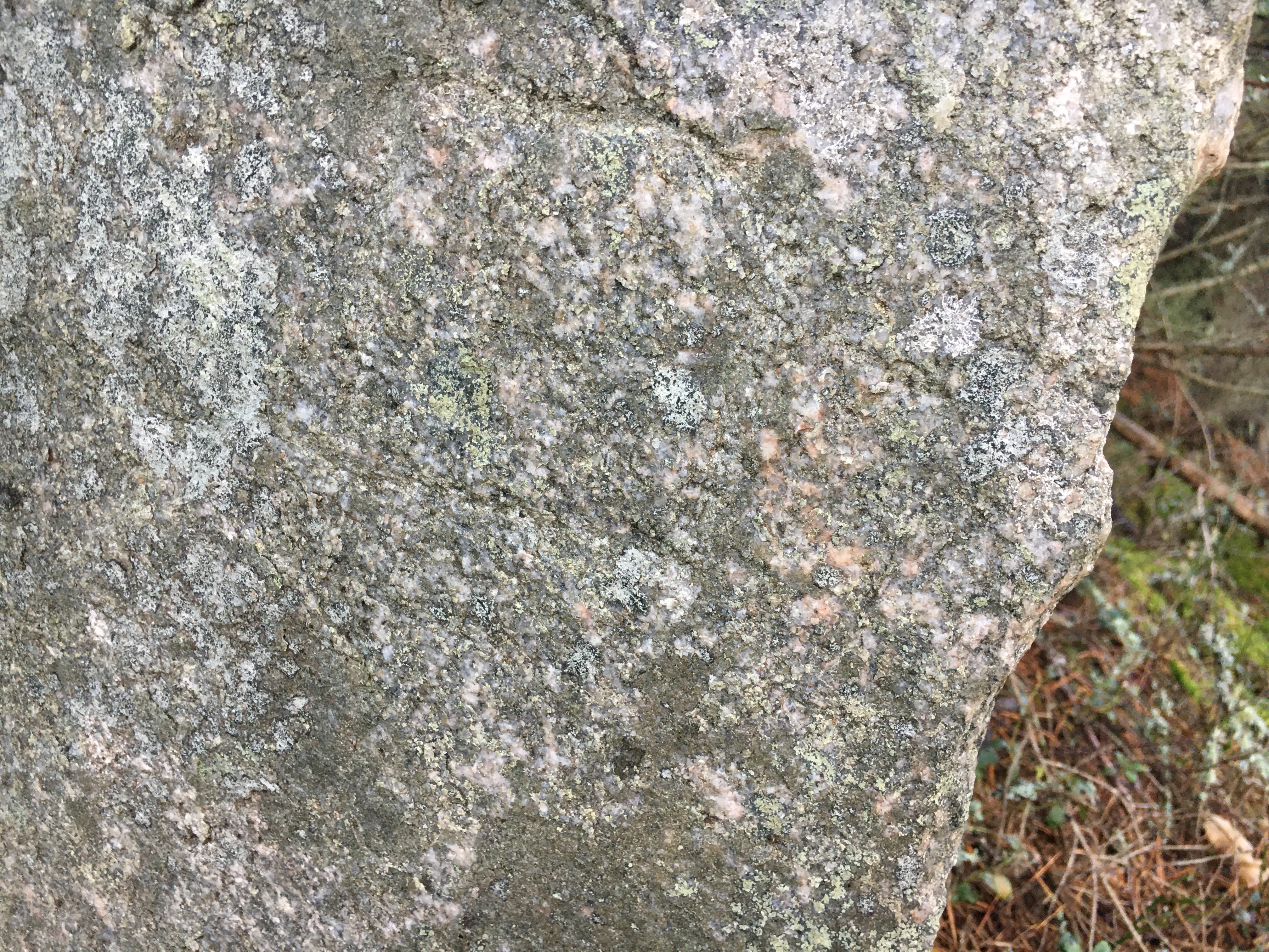 Baksida av gränssten