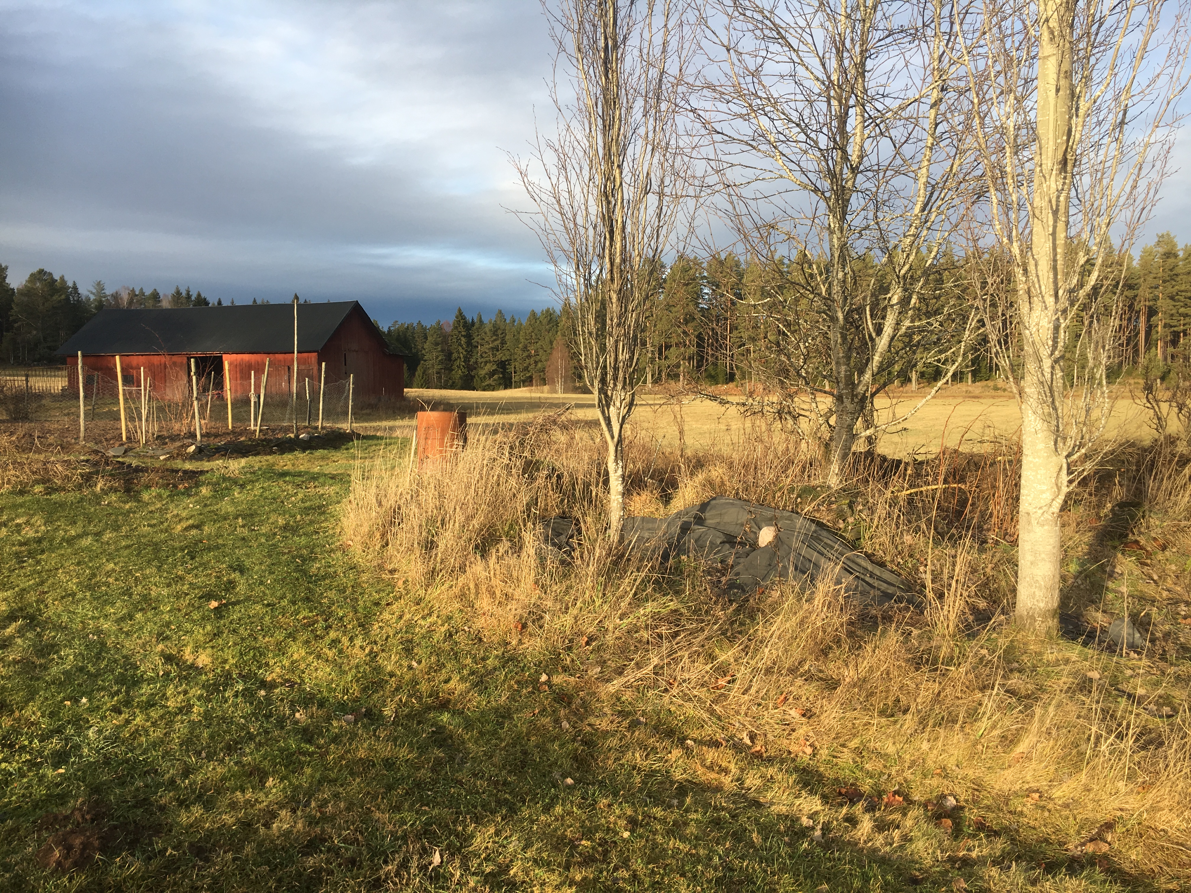 Rester av gammal Smedja